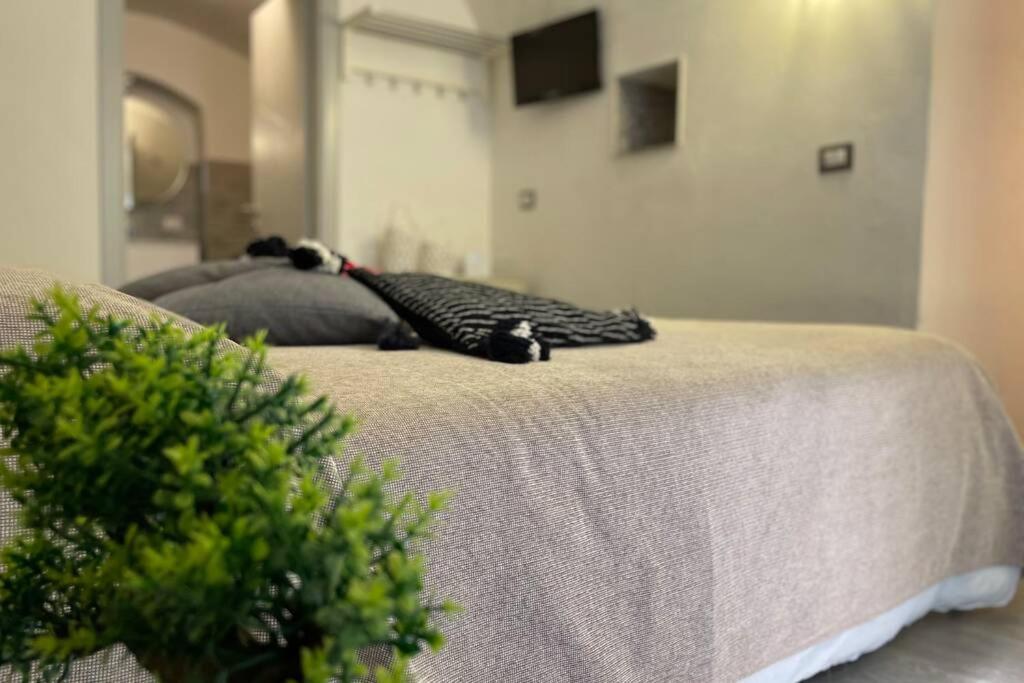 Tufoletto Apartment 巴勒莫 外观 照片